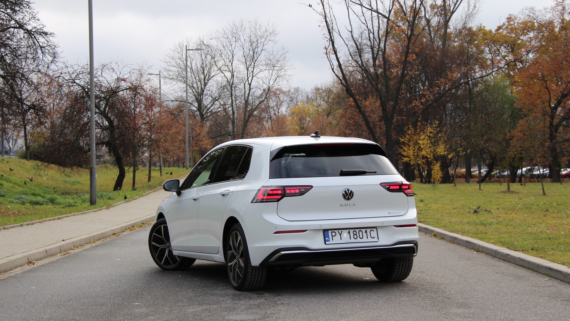 Volkswagen Golf eHybrid Edition 50