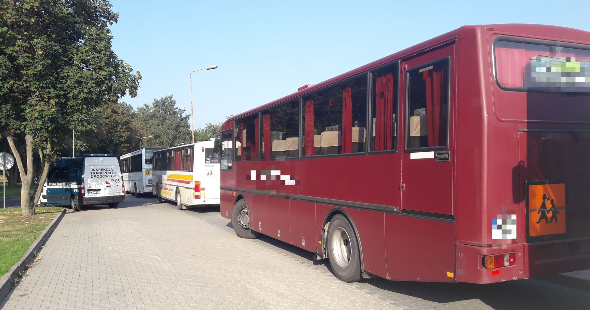 Gimbus w trakcie kontroli