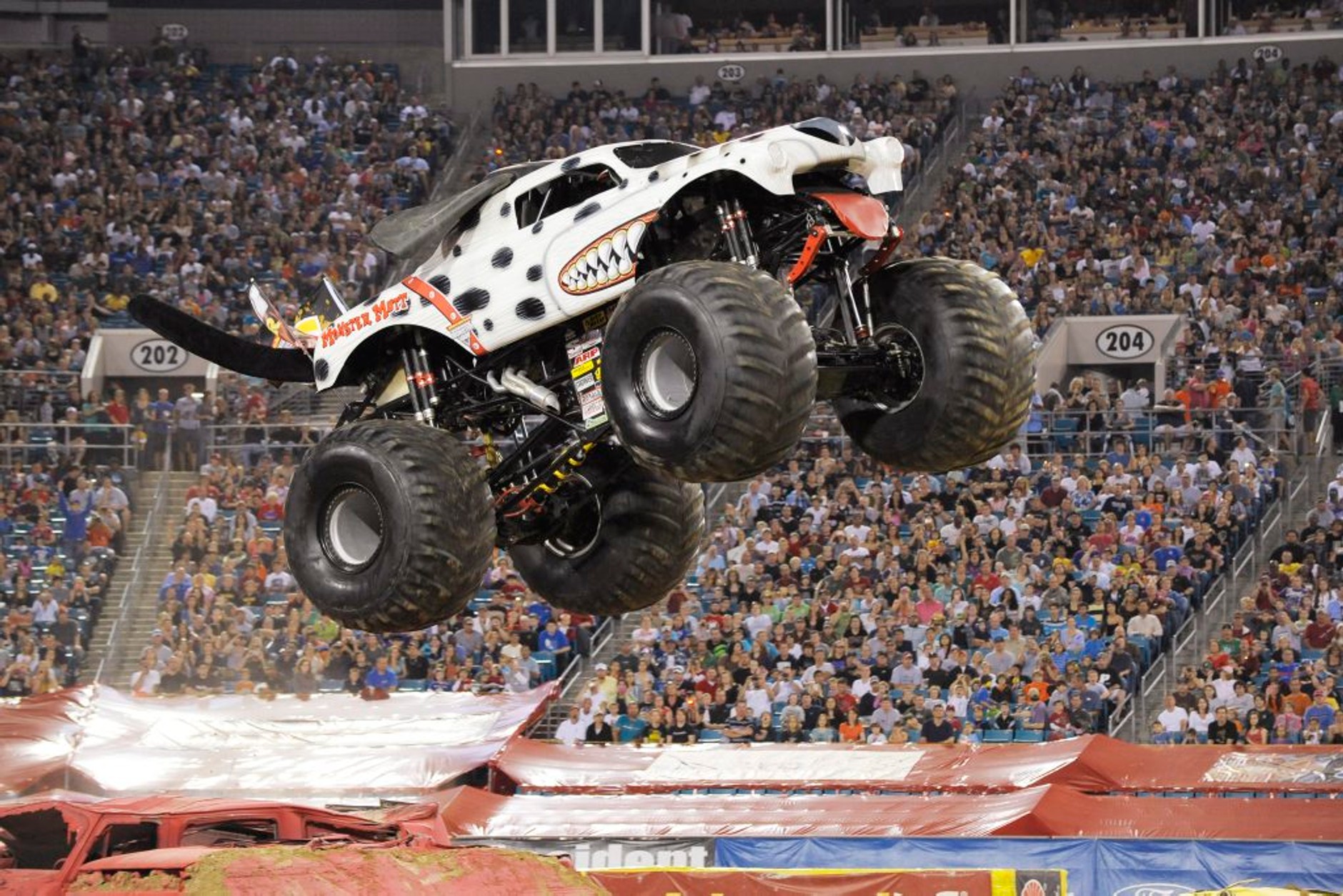 Monster Mutt Dalmatian