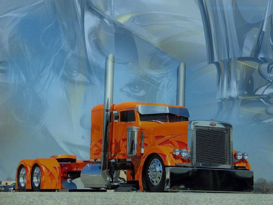 11. Monster Truck - auta z krainy fantazji (galeria)