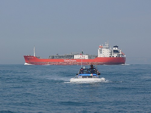 Panda Terramare