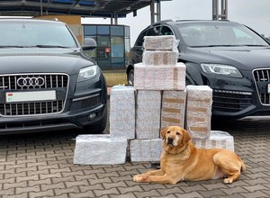 Funkcjonariusze zatrzymali dwa czarne SUV-y z Białorusi. Pies wykrył, co w nich schowano