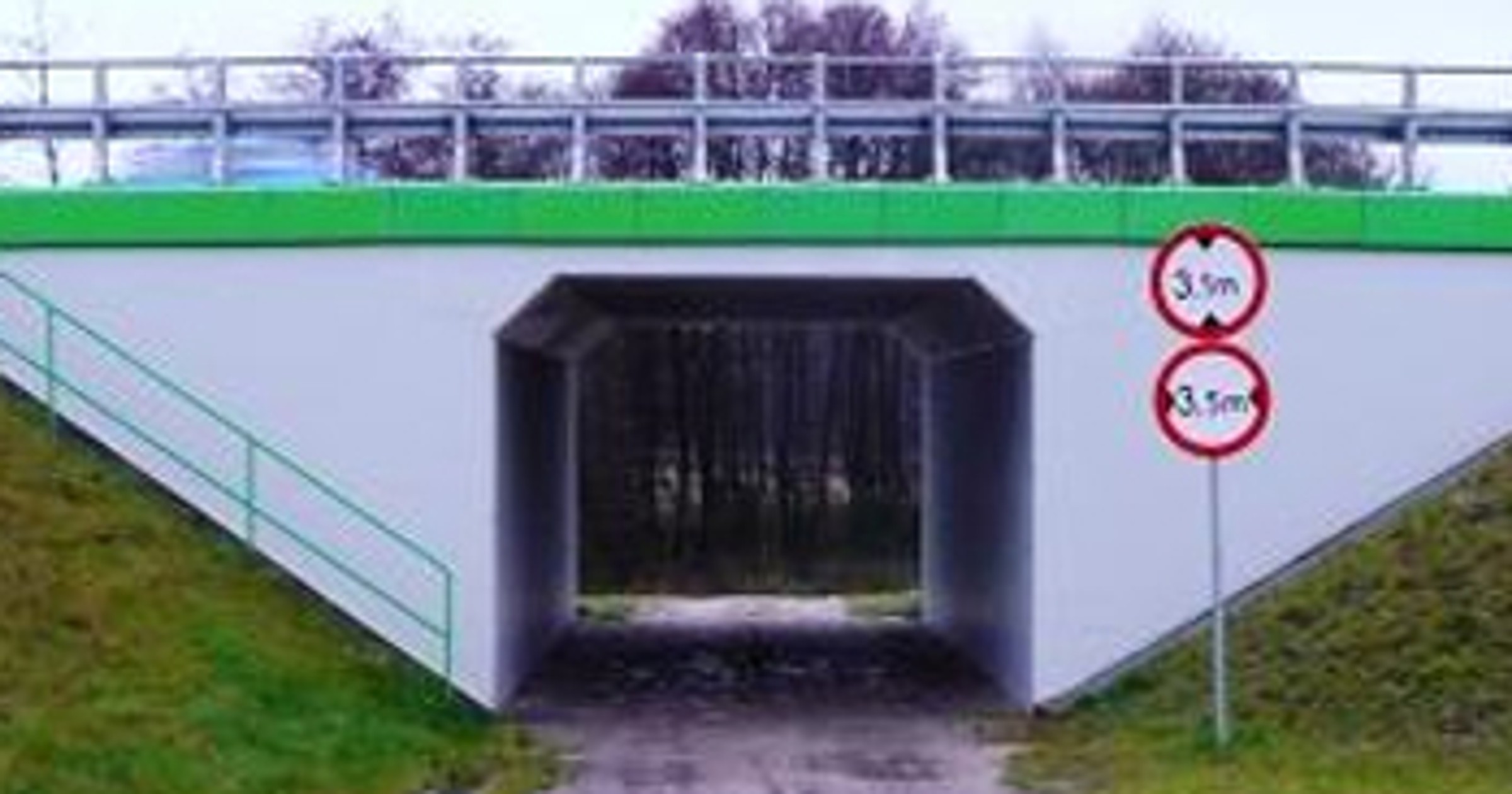 Auta górą, dziki dołem