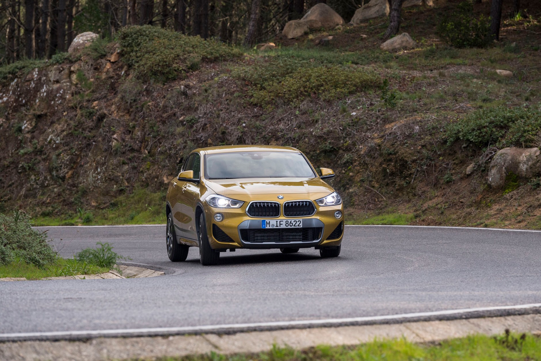 BMW X2 - SUV z genami coupe