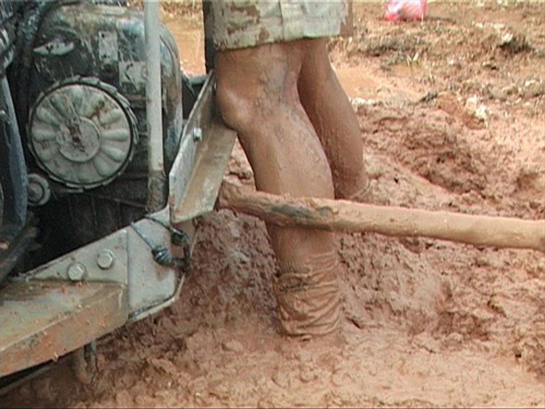 Rainforest Challenge