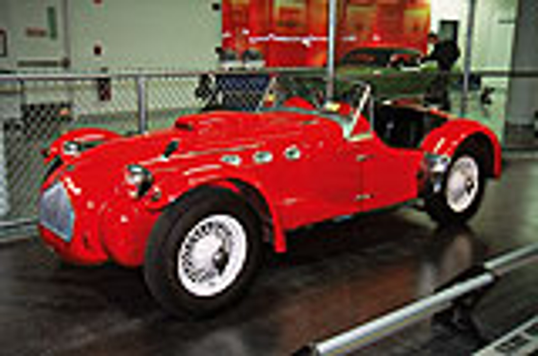 Ciągłość gatunku