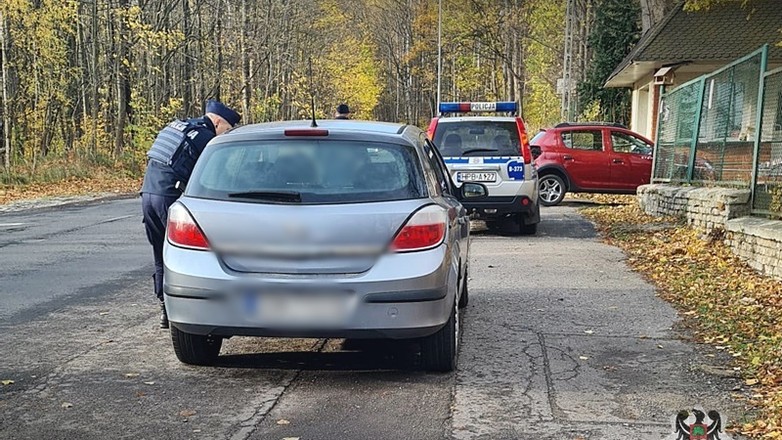 Źródło: walbrzych.policja.gov.pl