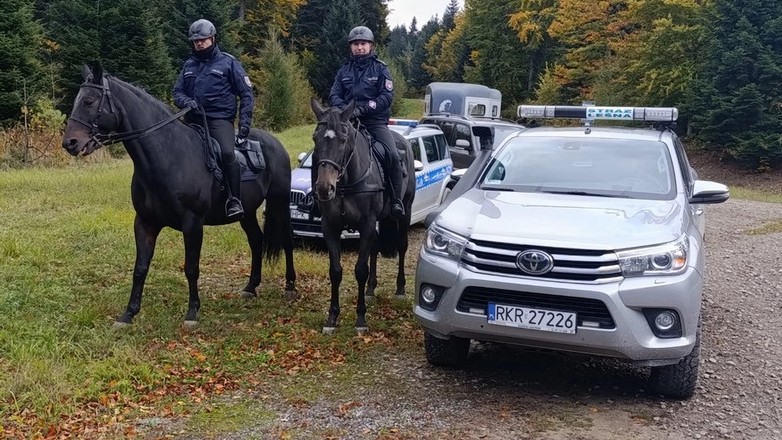 Policjanci na koniach