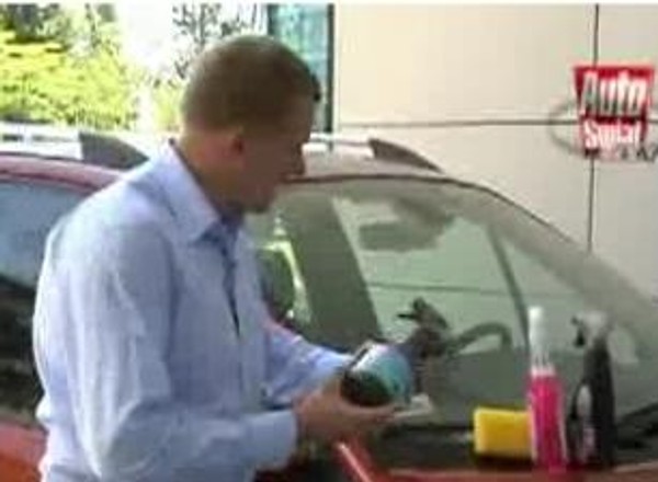 Tak szybko usuniesz owady!