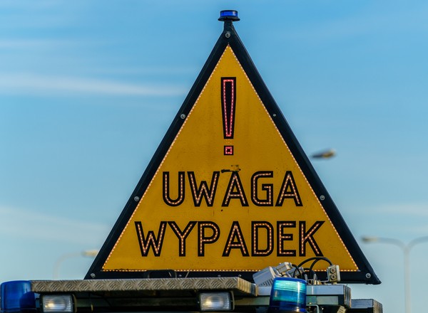 Tragiczny wypadek motocykla z koniem. Kierowca nie miał szans