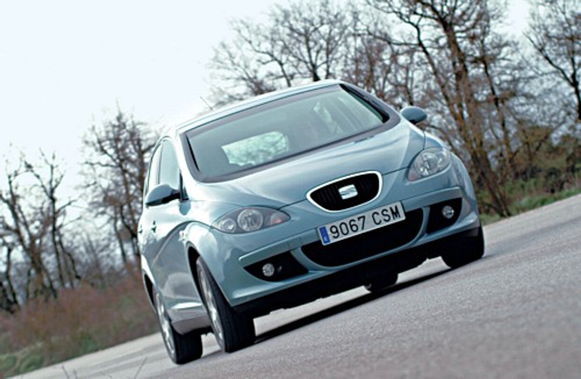 Hiszpański drapieżnik