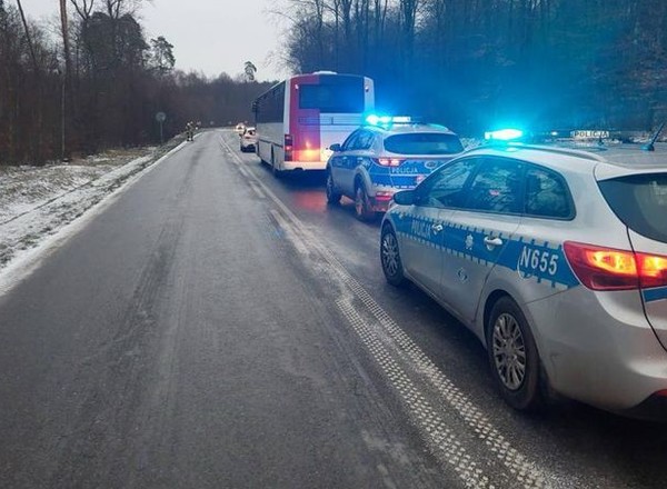 Ratowała sarnę. Kierowca autobusu nie zdołał zareagować