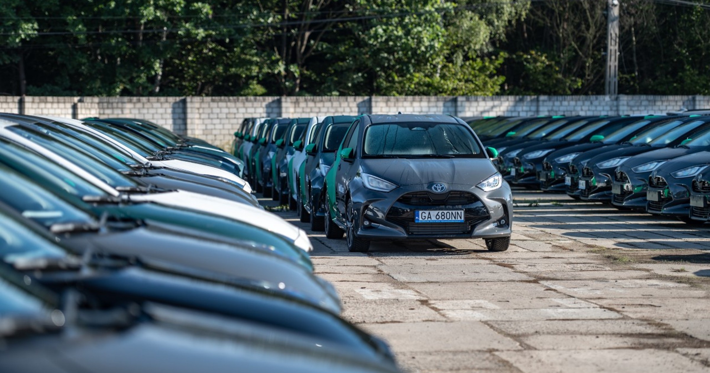 Nowe samochody na placu dilerskim Toyoty