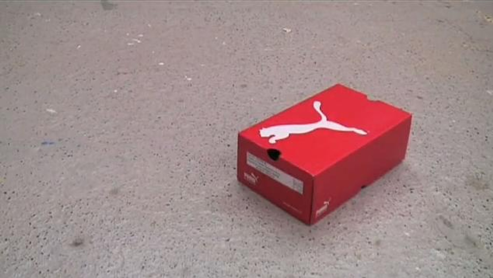 Puma zrobiła bolid F1 z pudełek od butów. Nie wierzysz?