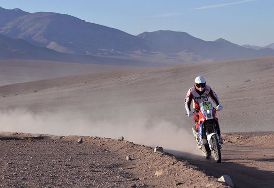 Rajd Dakar 2010: Przygoński 8. (8. etap na żywo, klasyfikacja, foto)