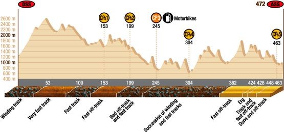 Rajd Dakar 2010: Przygoński 8. (8. etap na żywo, klasyfikacja, foto)