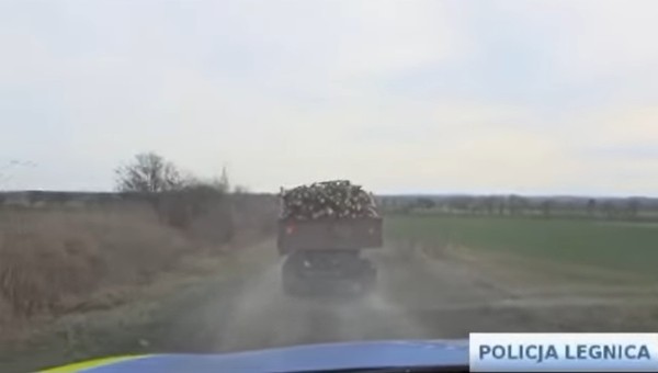 Policjanci prowadzili widowiskowy pościg za... Ursusem z przyczepą [WIDEO]