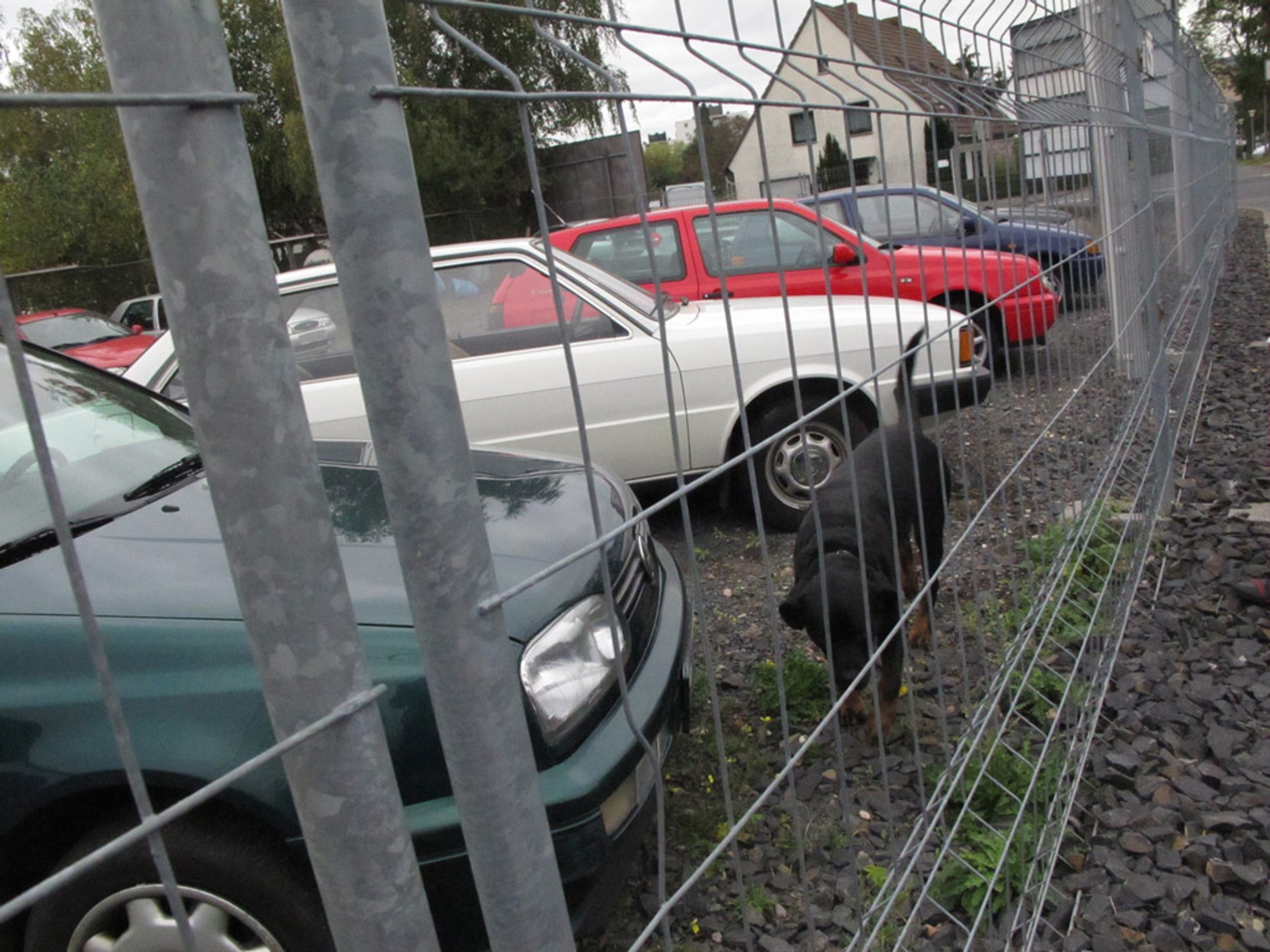 Czy warto jechać po auto do Niemiec? Może w Polsce jest taniej