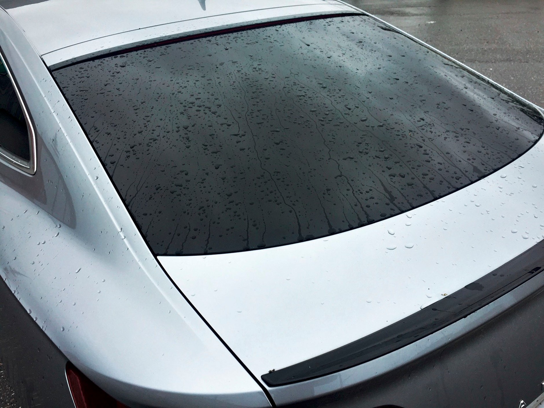 Tył bez wycieraczki