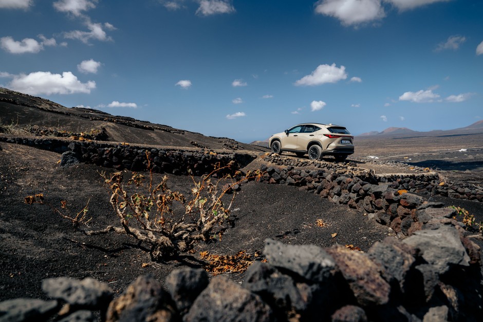 Lexus NX Overtrail