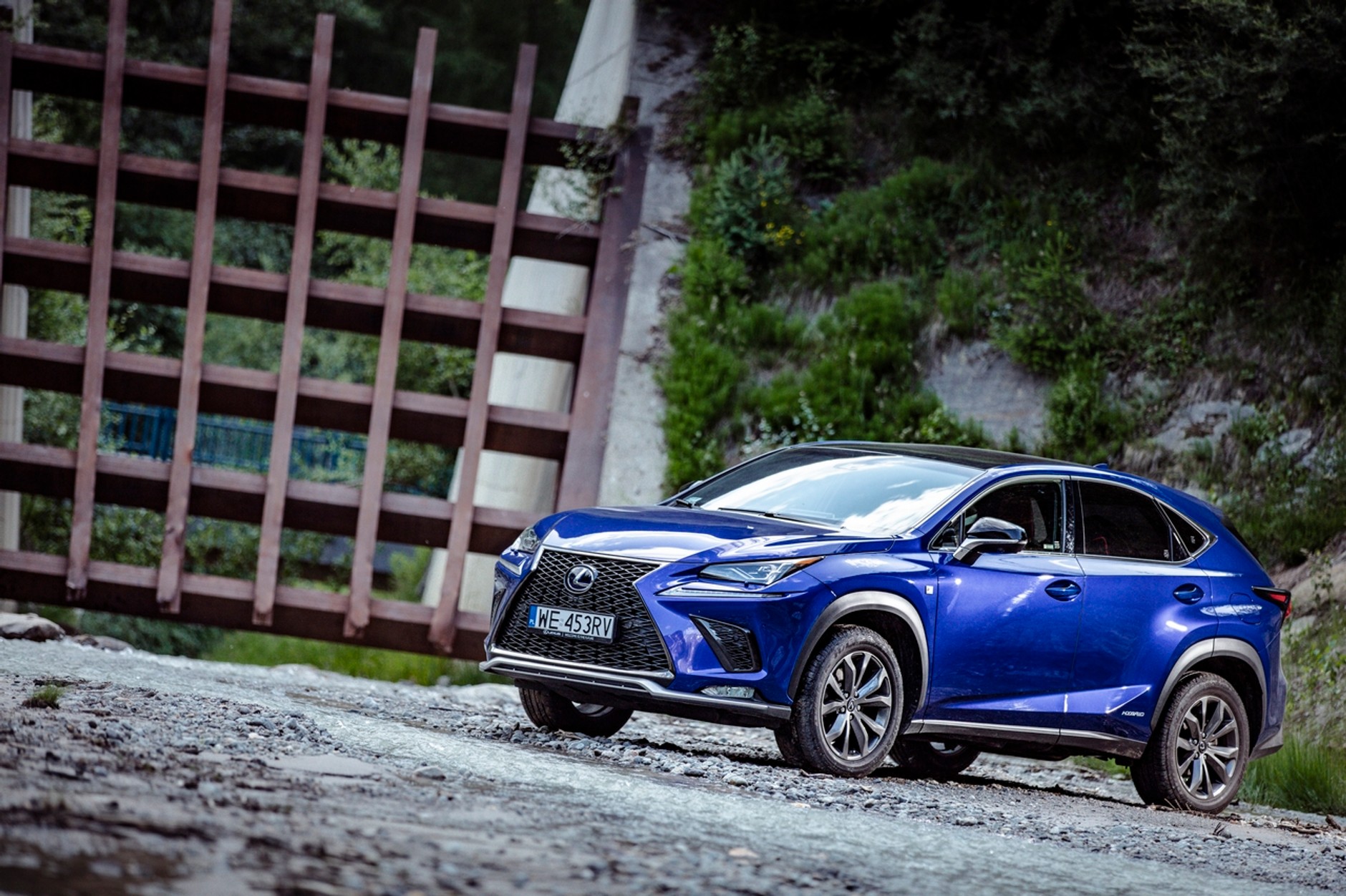 Lexus NX 300h F Sport