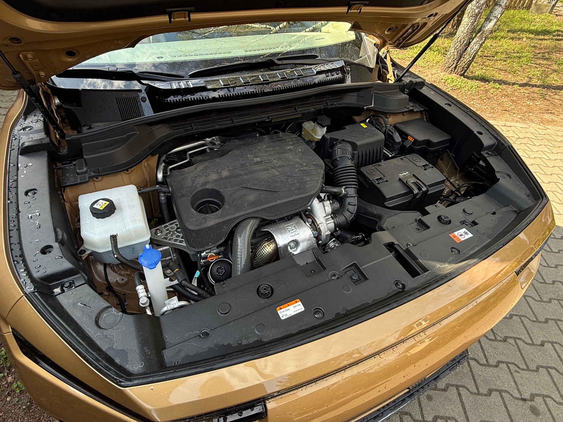 KGM Actyon – komora silnika