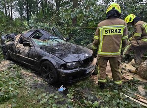 Drzewo runęło na BMW z kierowcą. Przypominamy, jak ubiegać się o odszkodowanie