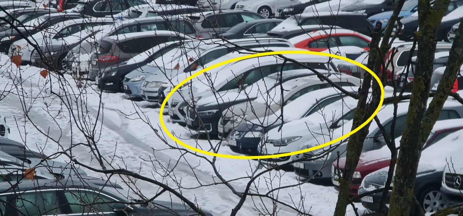 BMW serii 7 czekało na Litwie na kolejny etap przerzutu