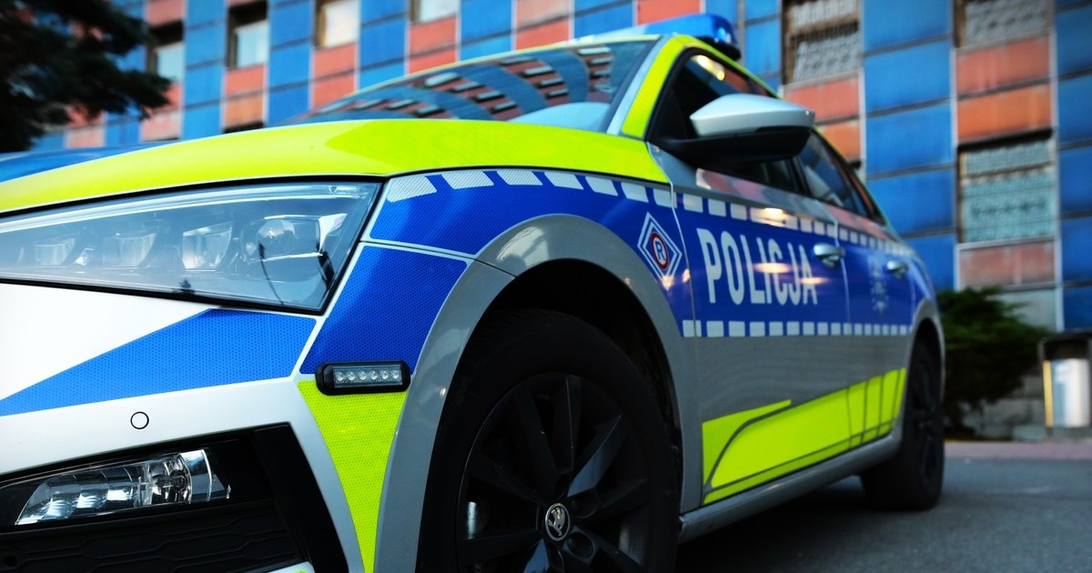 Obraz pochodzący z serwisu https://slaska.policja.gov.pl/kat/informacje/wiadomosci/387298,Podsumowanie-dlugiego-weekendu-na-slaskich-drogach.html