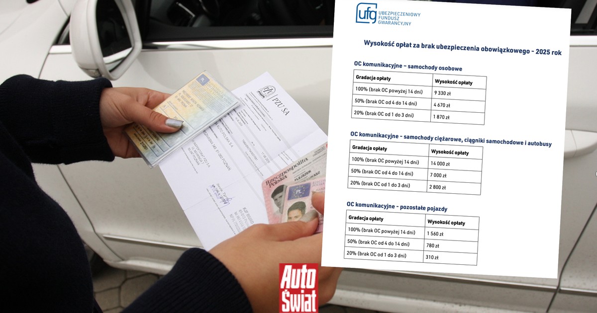 Setki tysięcy kar za brak OC. Skomplikowany system – czego się wystrzegać?