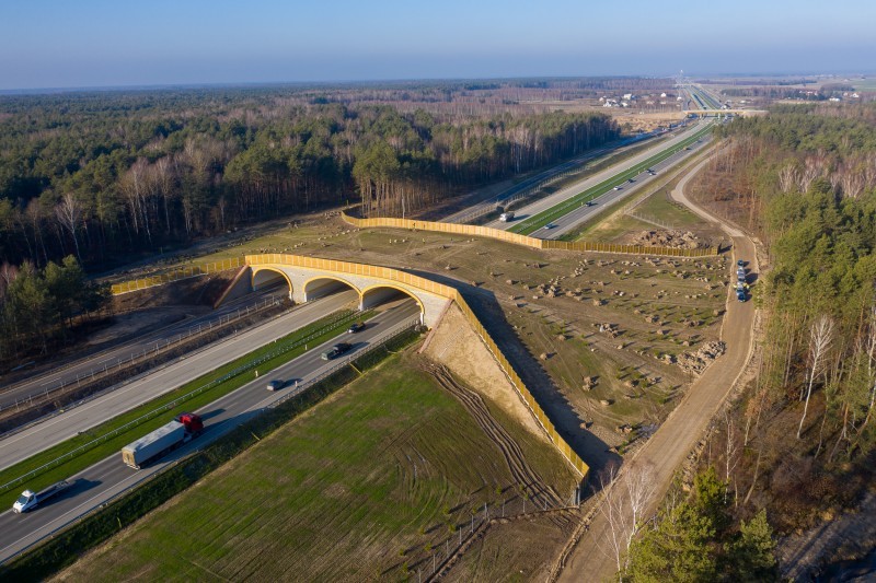Górne przejście dla zwierząt Trasa S17 Kolbiel Garwolin