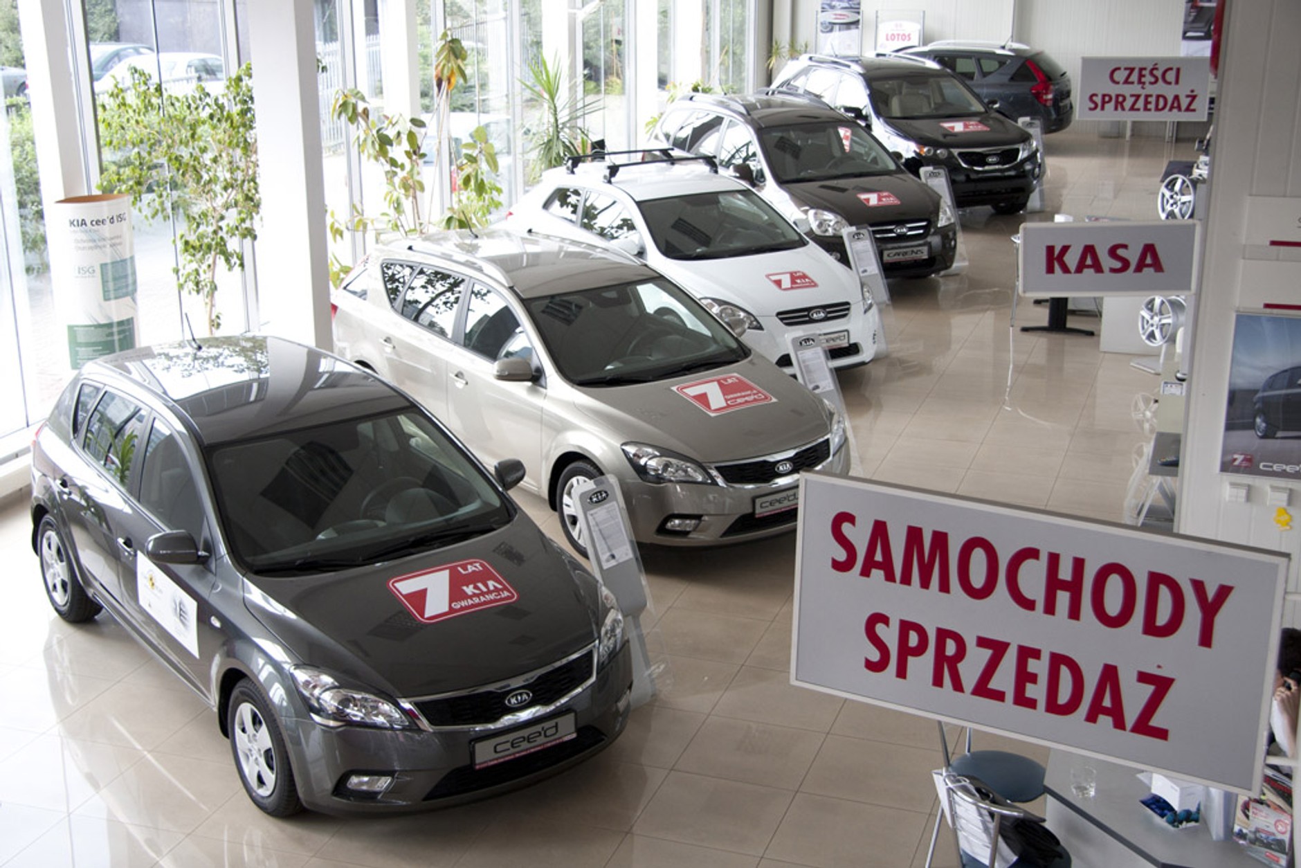 Jak wybrać auto? Wady i zalety samochodów w różnym wieku