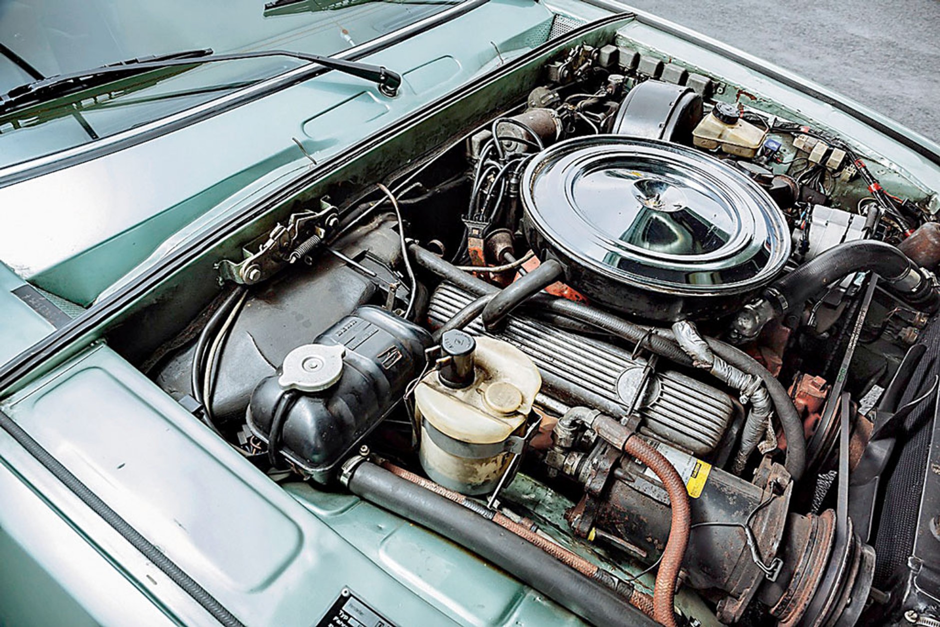 Bitter Diplomat CD - nieporównywalnie piękny