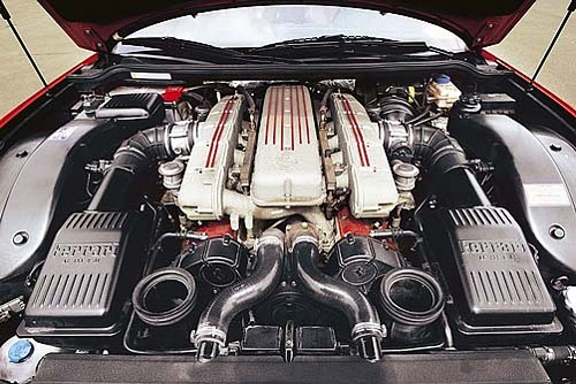 Wybiera się go sercem