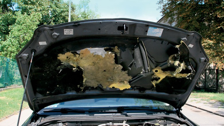 Jeśli kuna dostanie się pod maskę, może zniszczyć wszystko, co jest w zasięgu jej zębów: od wygłuszeń po 
przewody