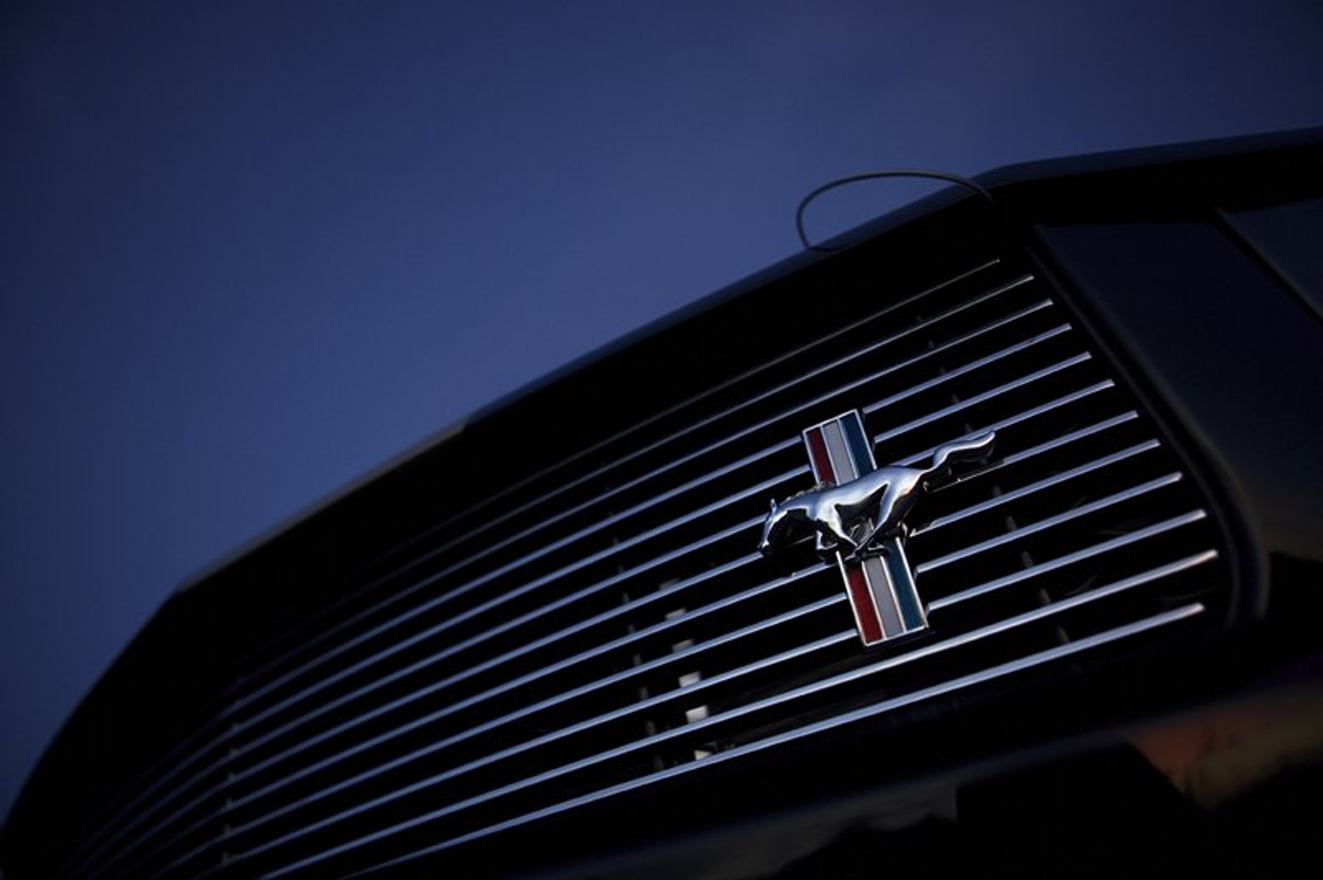 Ford Shelby GT350-H: z wypożyczalni na półki sklepowe