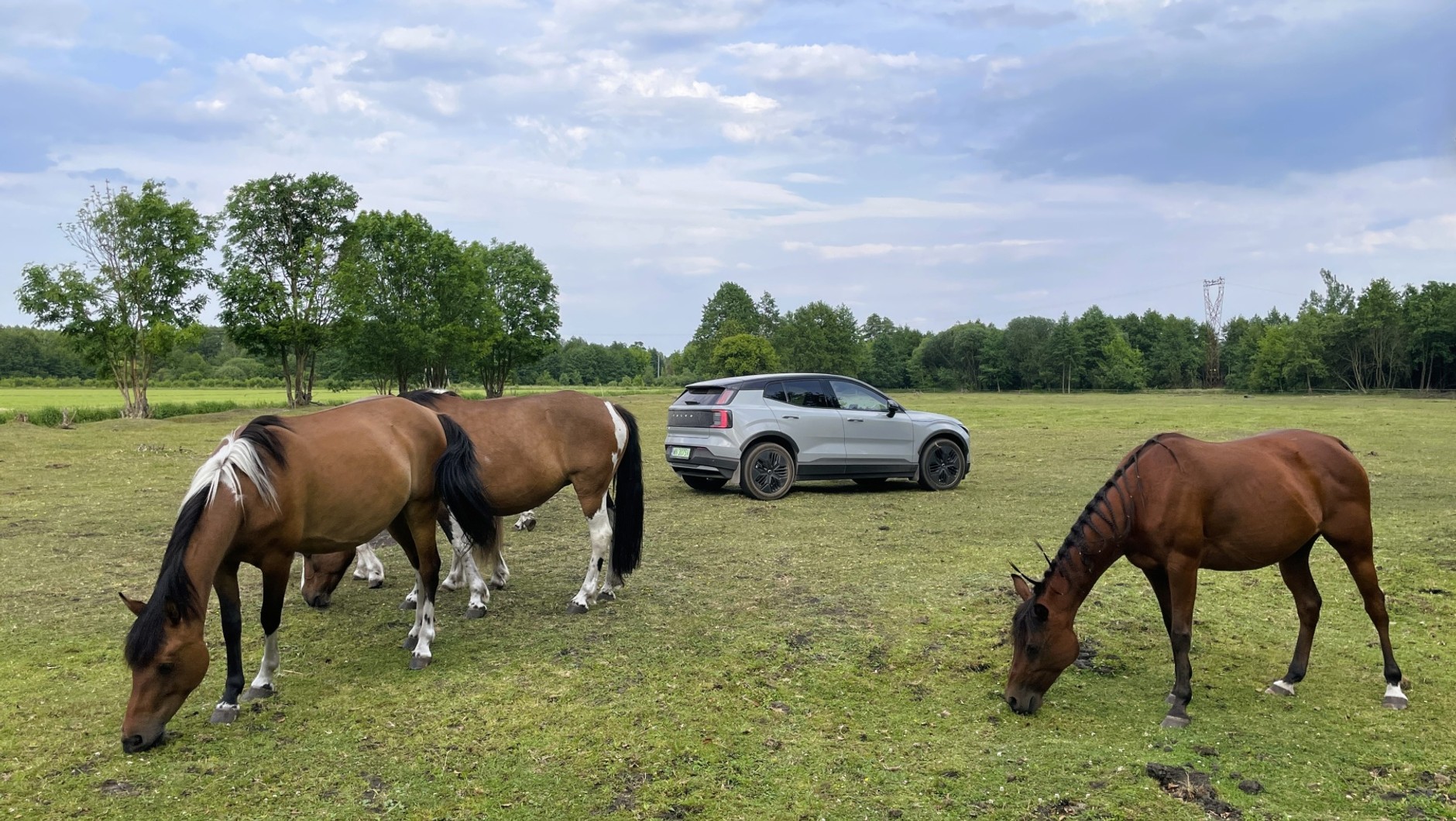 Volvo EX30 Cross Country na łonie natury