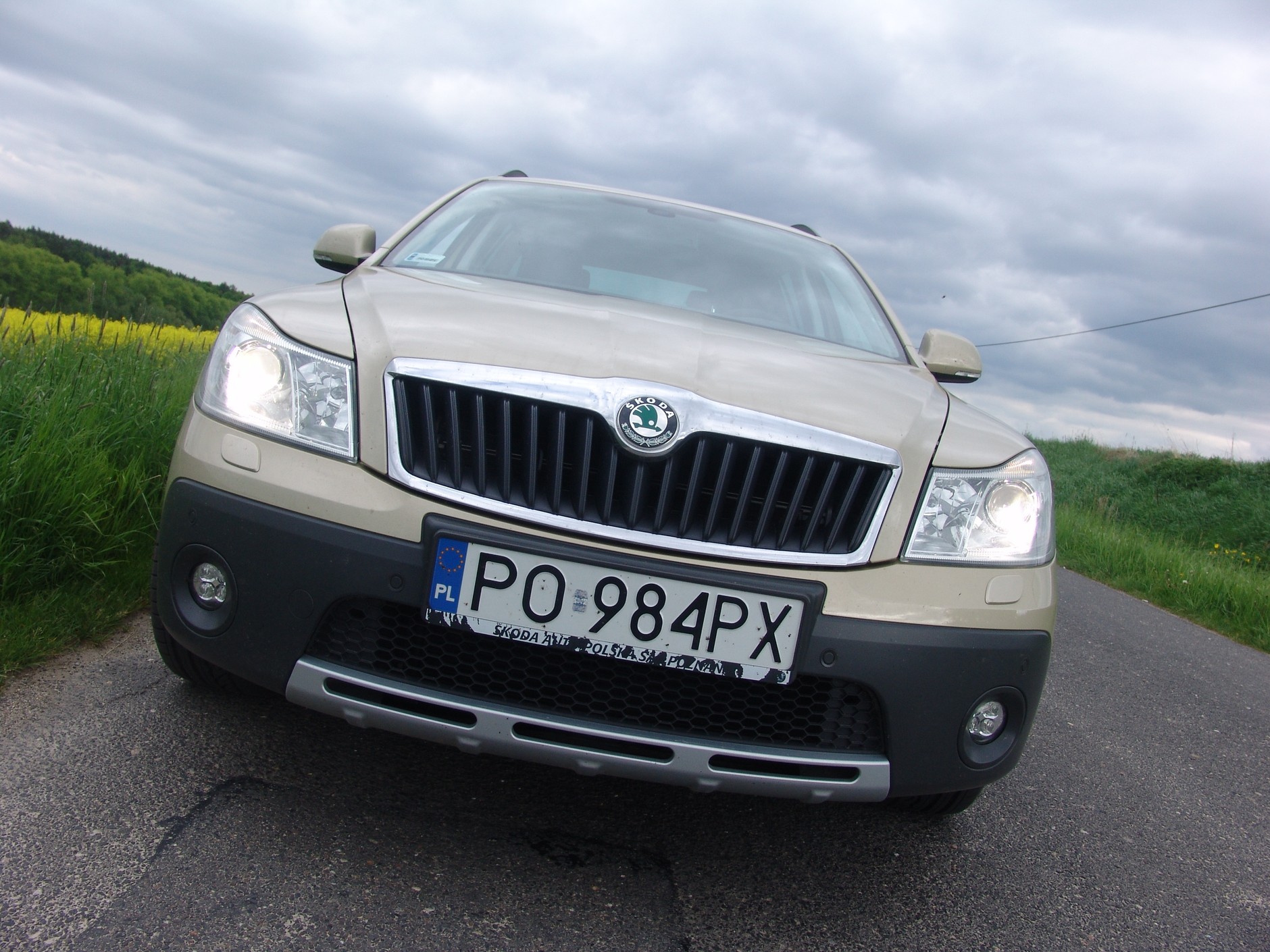 Czy ta Octavia jest dla skauta?