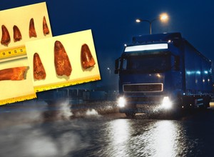 Francuscy celnicy trafili na niecodzienny przemyt. W przesyłkach były skamieniałości sprzed milionów lat