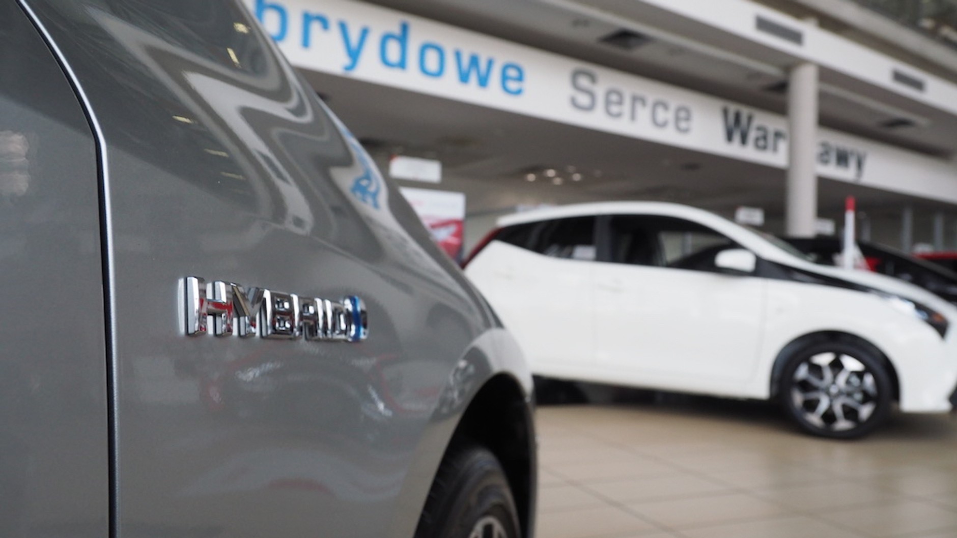 Carolina Toyota Wola