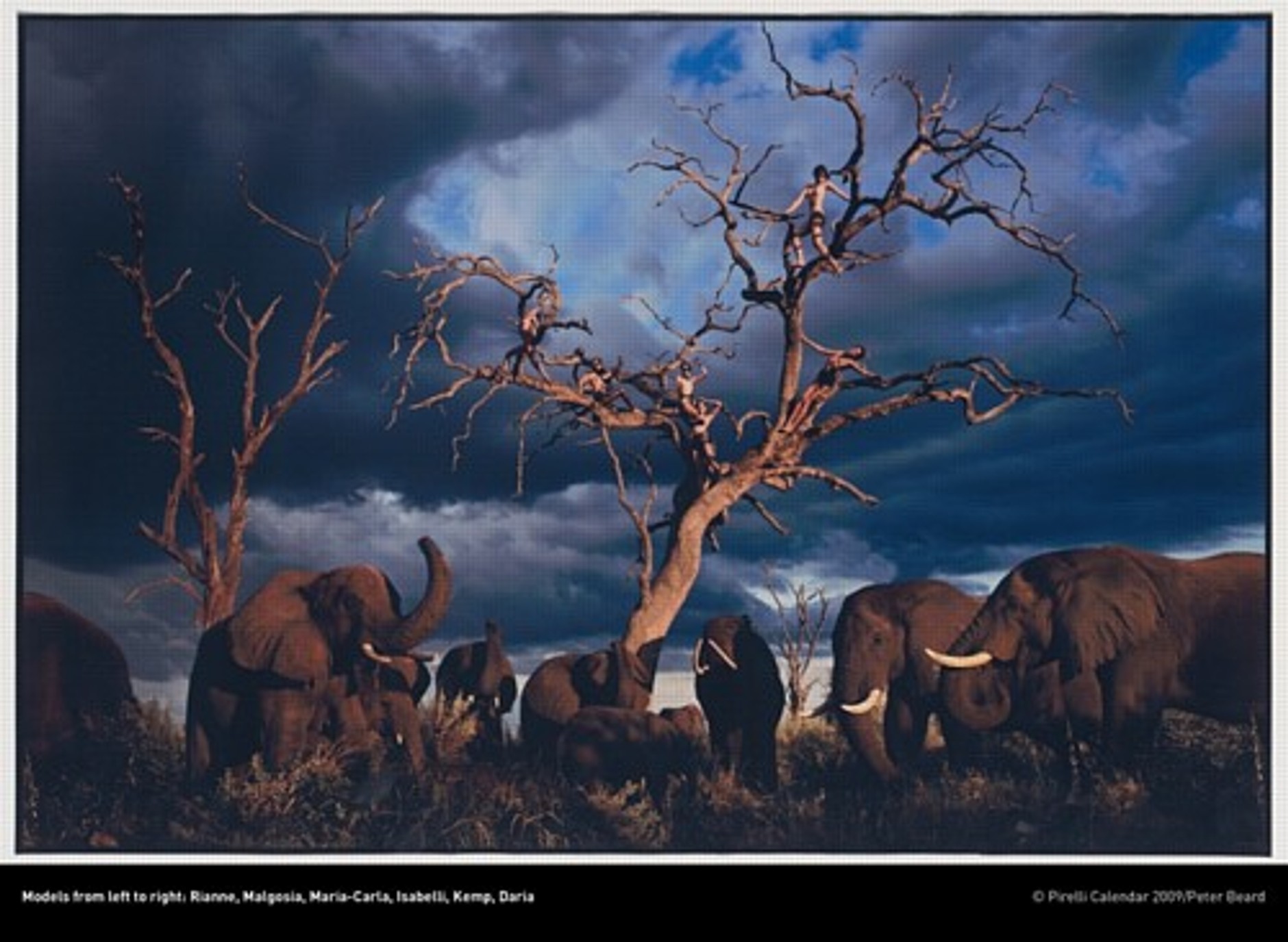 Kalendarz Pirelli 2009 - Tylko piękno może uratować świat