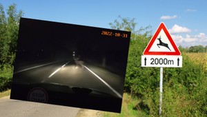 Prawdziwy "test łosia" na drodze. Kierowca wykazał się refleksem [WIDEO]