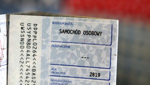 Kody w dowodzie rejestracyjnym nie są przypadkowe. Oto, jakie mają znaczenie
