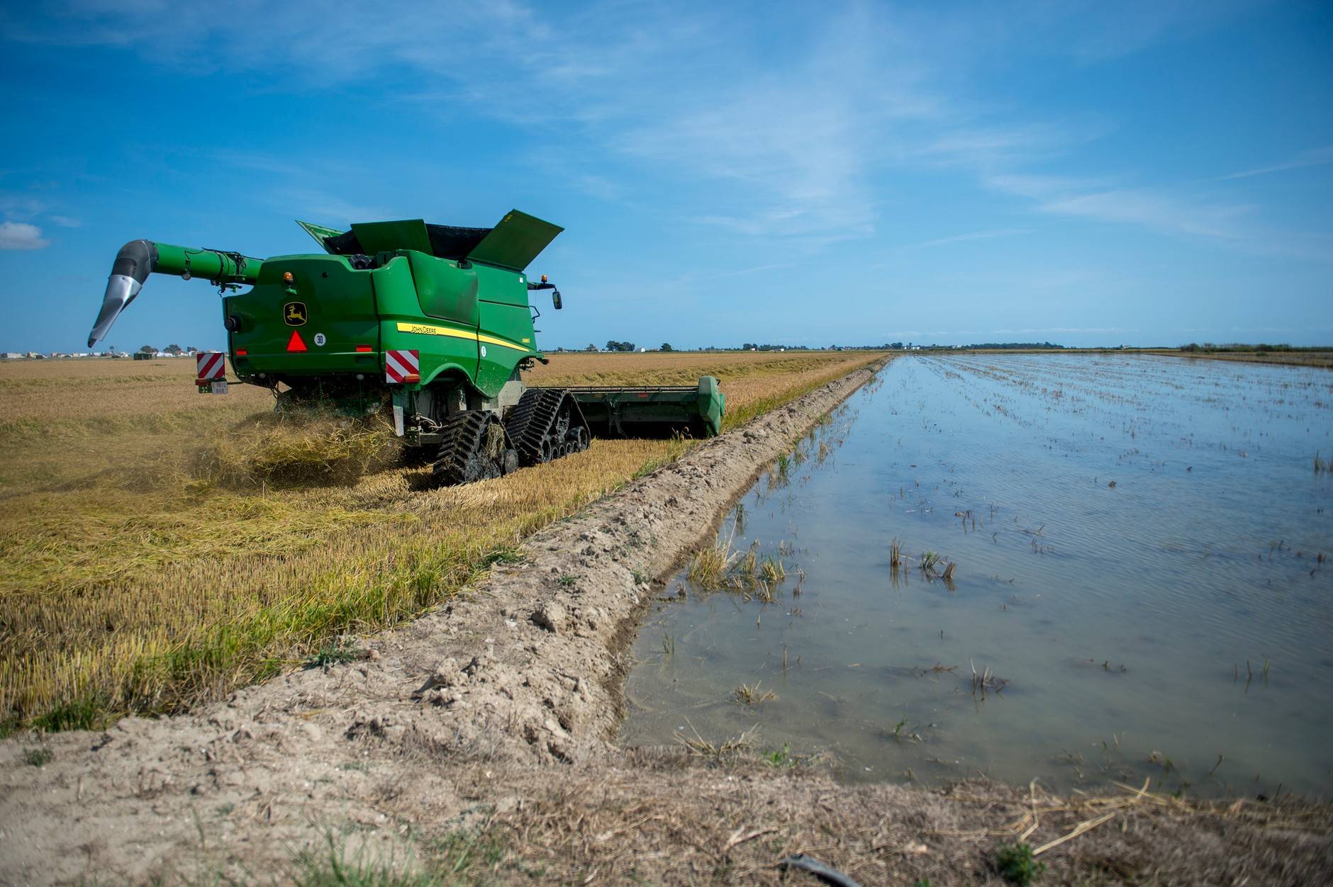Seat będzie budował swoje auta z... łuski ryżowej
