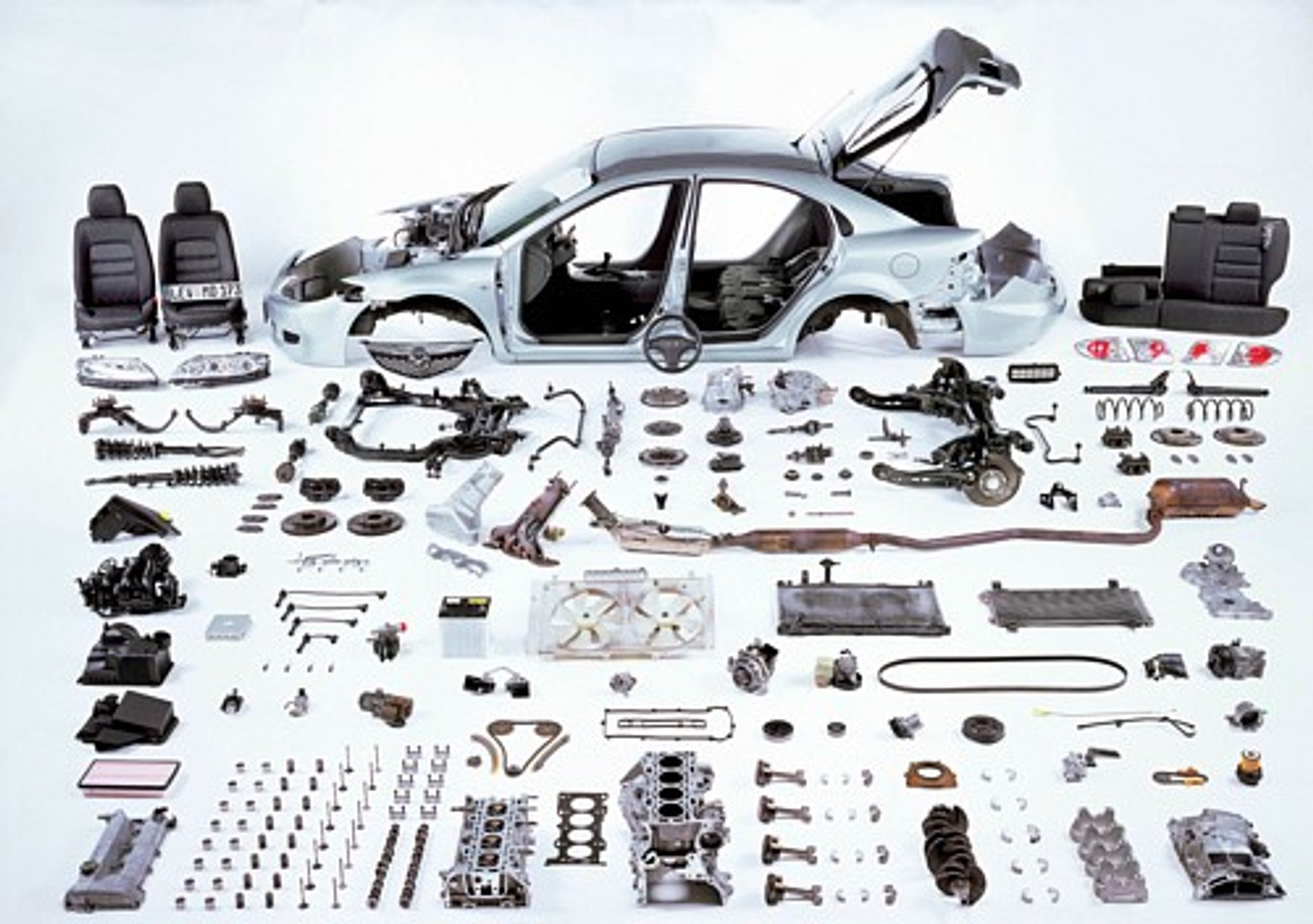 Wierna, jak każe tradycja?