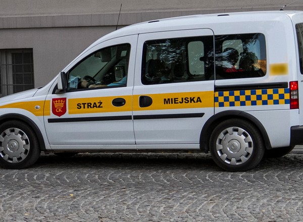 Pouczenie czy mandat? O tym decyduje przypadek i straż miejska