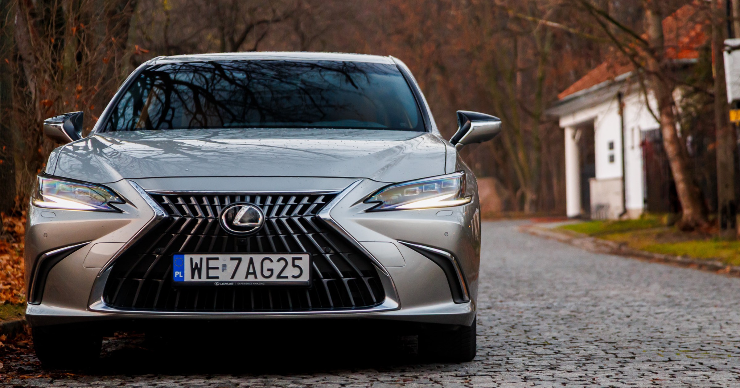 2024 Lexus ES300h