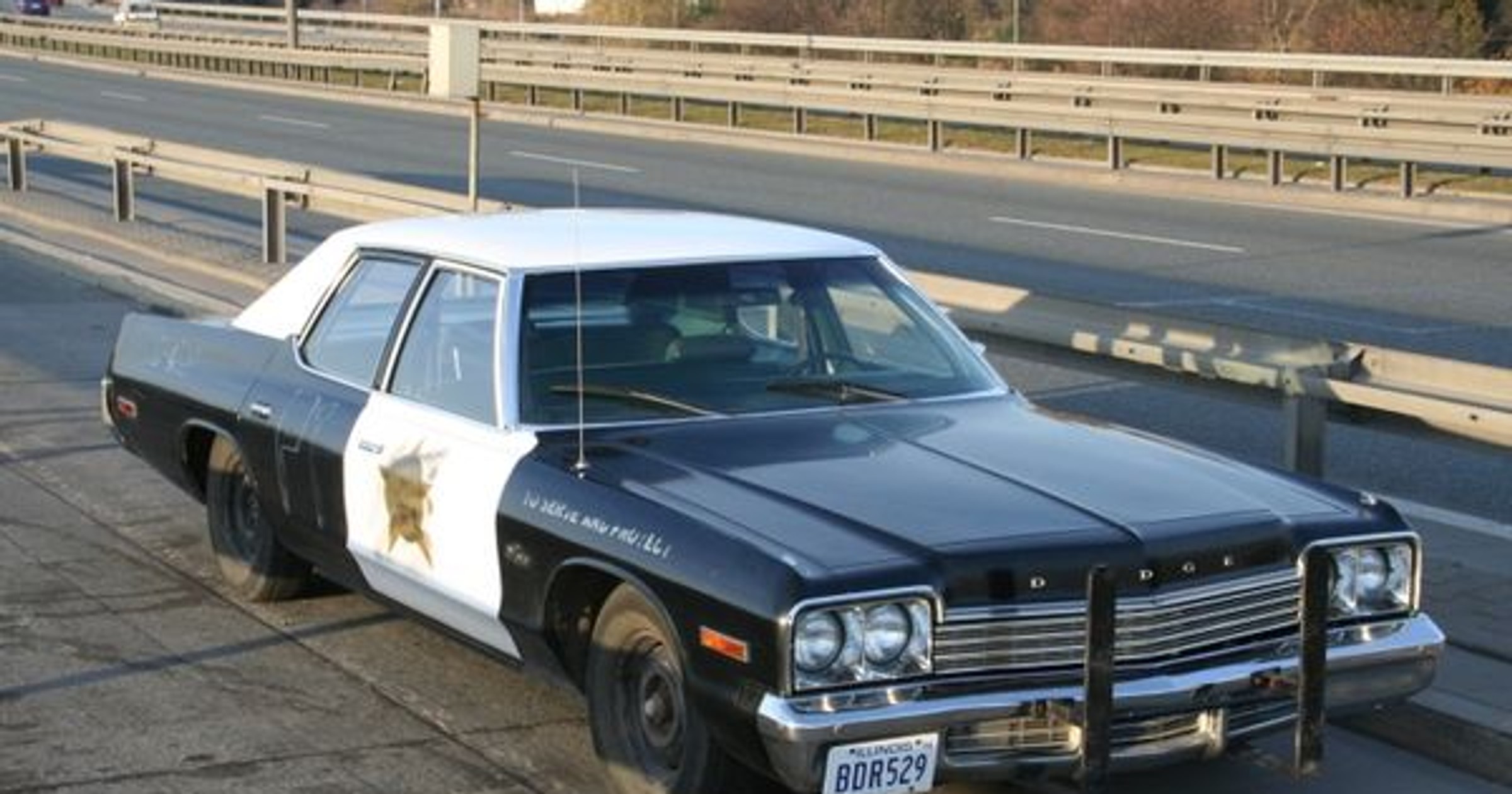 Dodge Monaco: Bluesmobile