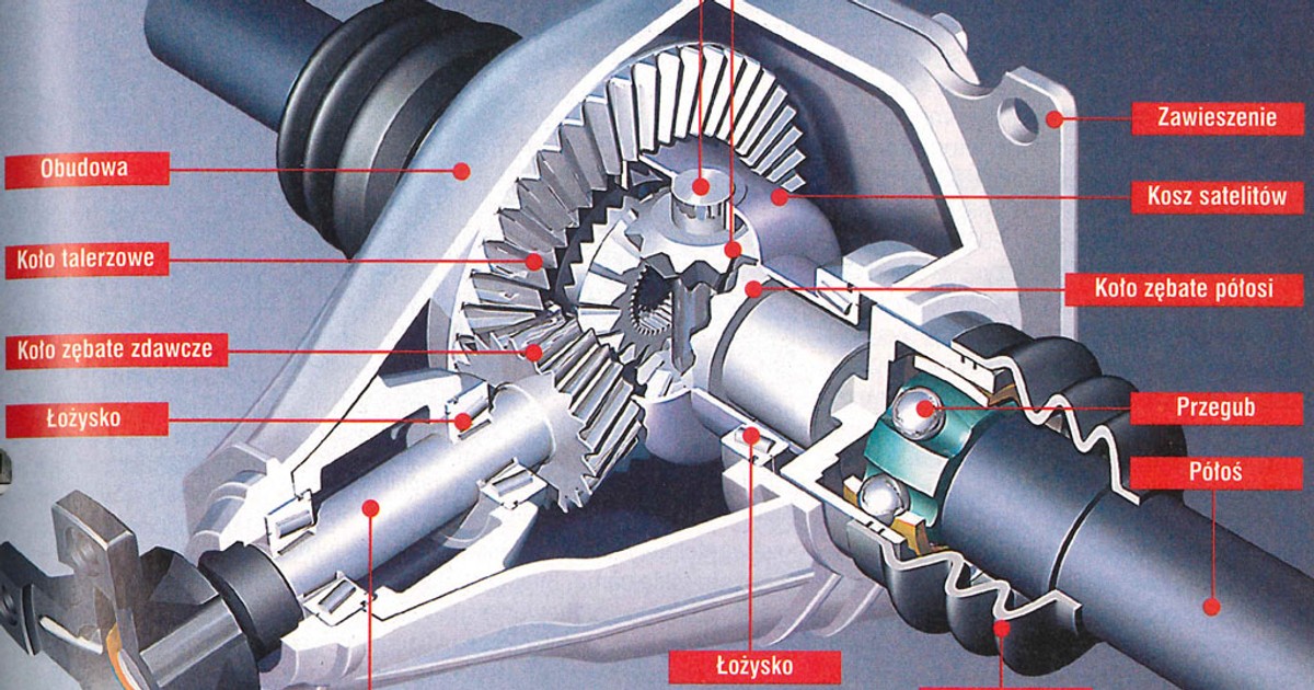Jak działa mechanizm różnicowy?