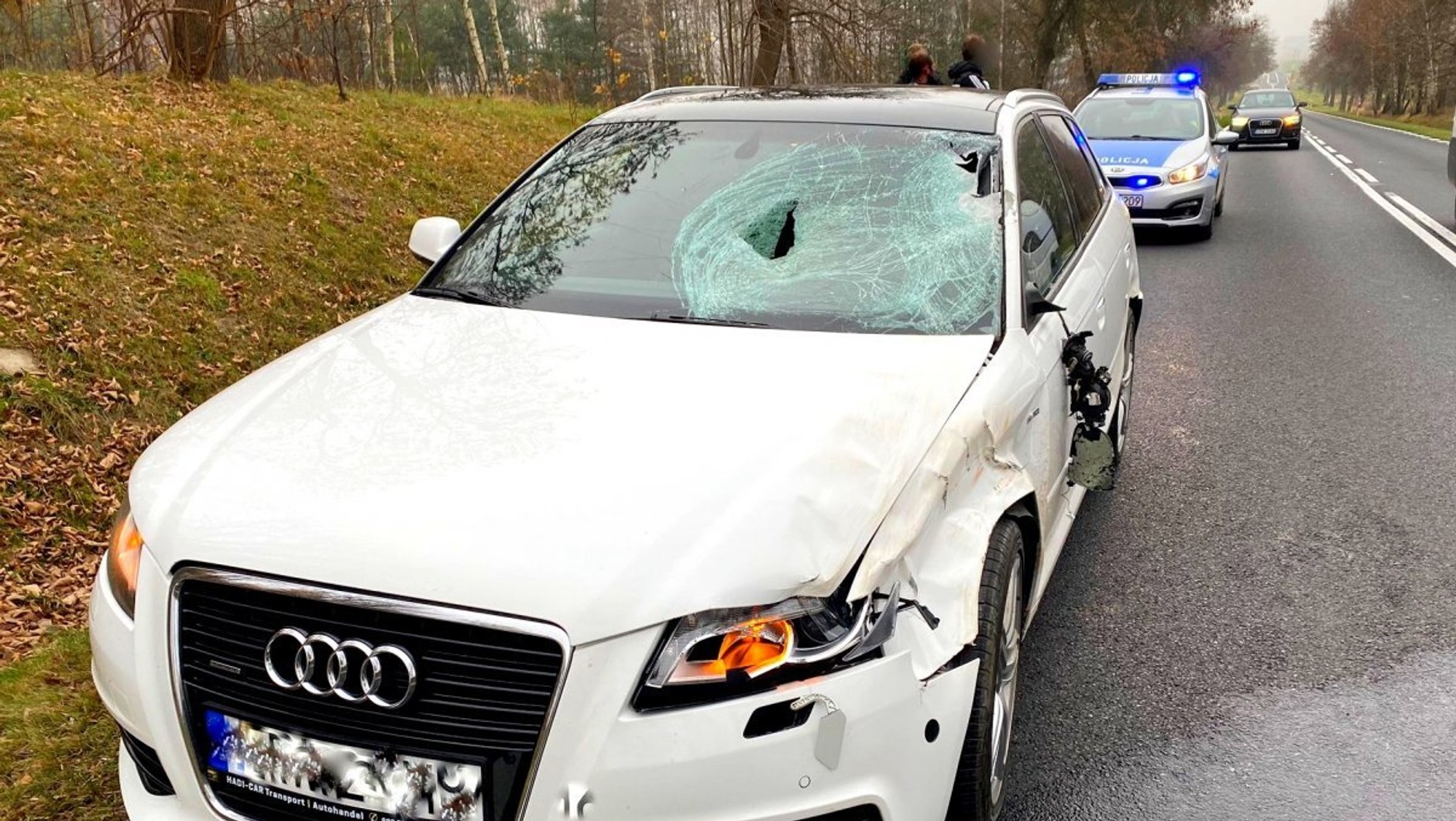 Audi po kolizji z jeleniem